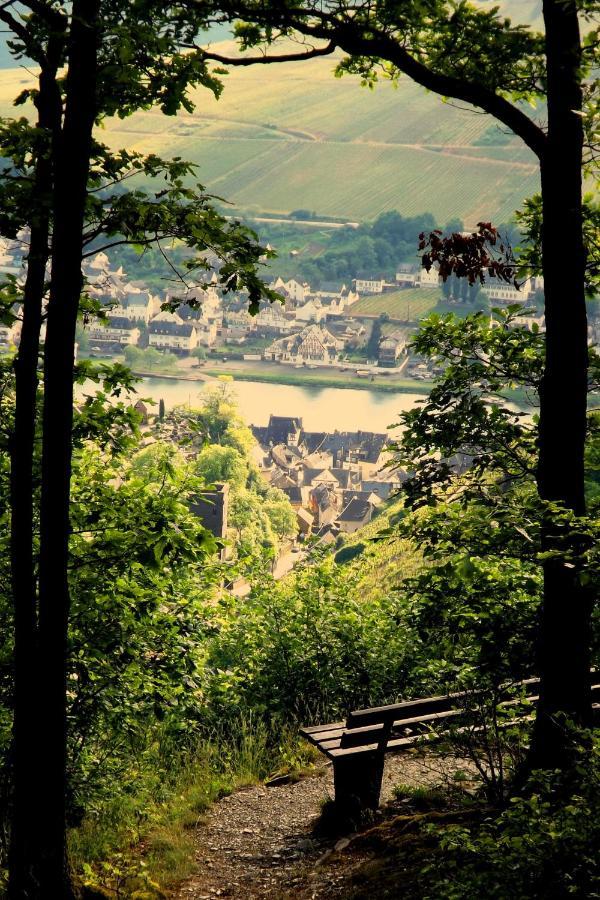 ツェル・アン・デル・モーゼルMosel Panoramaアパートメント エクステリア 写真