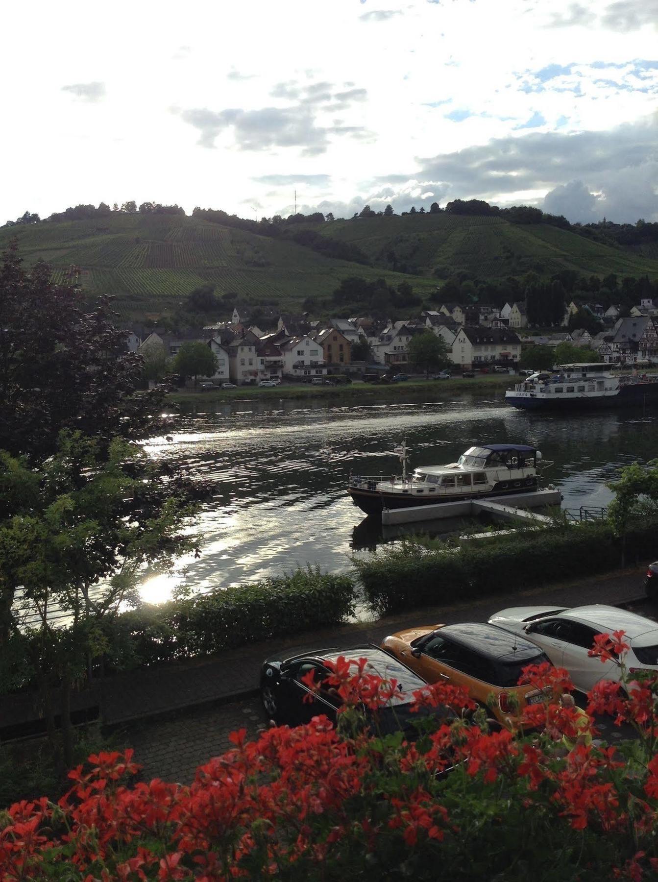 ツェル・アン・デル・モーゼルMosel Panoramaアパートメント エクステリア 写真