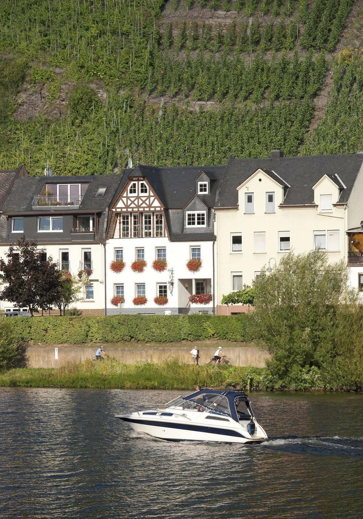 ツェル・アン・デル・モーゼルMosel Panoramaアパートメント エクステリア 写真